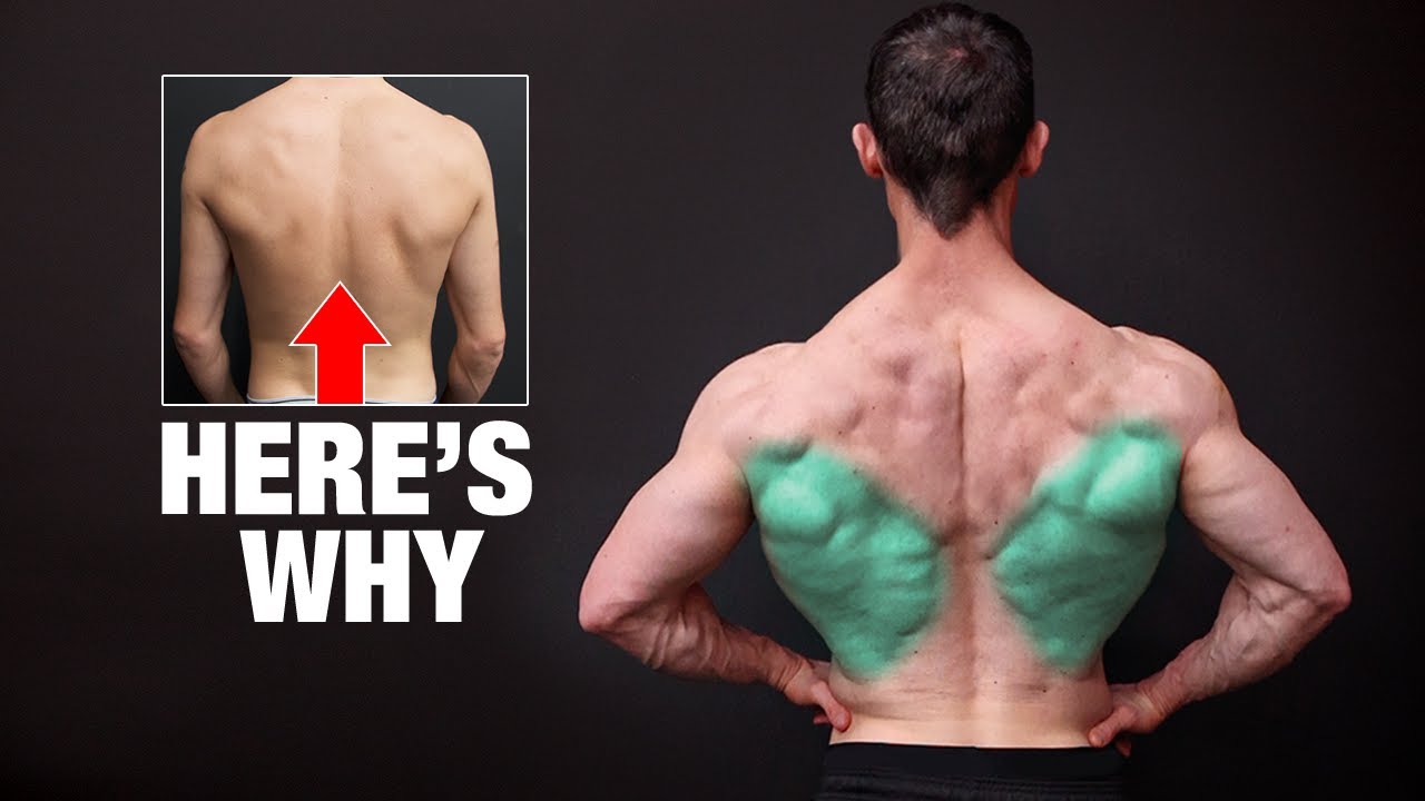 The REAL Reason Your Lats Won’t Grow!
